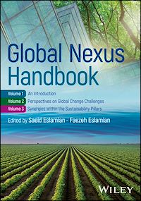 Téléchargez le livre :  Global Nexus Handbook