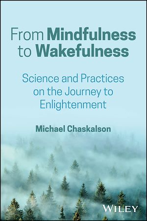 Download the eBook: From Mindfulness to Wakefulness