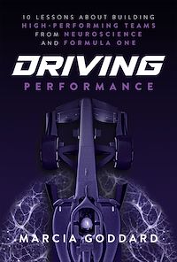 Download this ebook Driving Performance