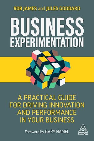 Téléchargez le livre :  Business Experimentation