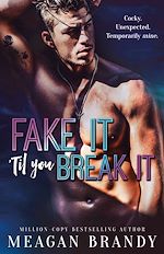 Télécharger le livre :  Fake It 'Til You Break It