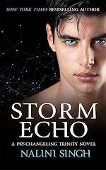 Télécharger le livre :  Storm Echo