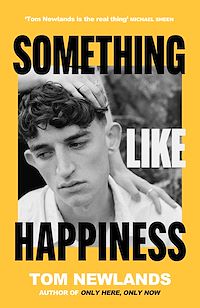 Download this ebook Something Like Happiness