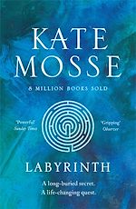 Télécharger le livre :  Labyrinth