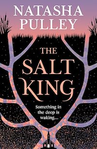 Download this ebook The Salt King