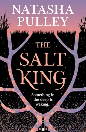 Download the eBook: The Salt King