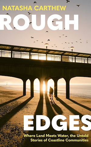 Download the eBook: Rough Edges