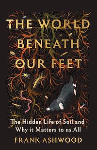 Download this ebook The World Beneath Our Feet
