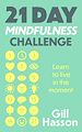 Télécharger le livre :  21 Day Mindfulness Challenge
