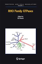 Télécharger le livre :  Rho Family GTPases