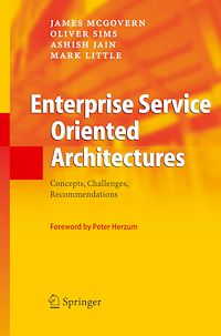 Téléchargez le livre :  Enterprise Service Oriented Architectures
