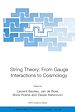 Télécharger le livre :  String Theory: From Gauge Interactions to Cosmology