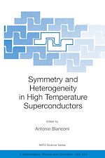 Download this eBook Symmetry and Heterogeneity in High Temperature Superconductors