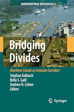 Télécharger le livre :  Bridging Divides