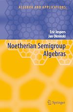 Download this eBook Noetherian Semigroup Algebras