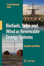 Télécharger le livre :  Biofuels, Solar and Wind as Renewable Energy Systems