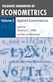 Télécharger le livre :  Palgrave Handbook of Econometrics