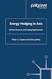 Télécharger le livre :  Energy Hedging in Asia: Market Structure and Trading Opportunities