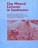 Télécharger le livre :  Clay Mineral Cements in Sandstones