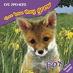 Download this eBook Fox
