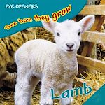 Download this eBook Lamb