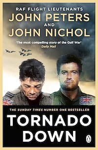 Téléchargez le livre :  Tornado Down