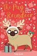 Télécharger le livre :  The Pug Who Wanted to Be A Reindeer