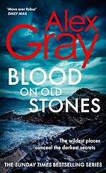 Download this eBook Blood on Old Stones
