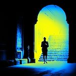 Télécharger le livre :  The Sister