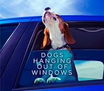 Télécharger le livre :  Dogs Hanging Out Of Windows