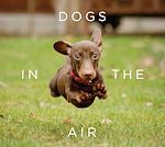 Download this eBook Dogs in the Air