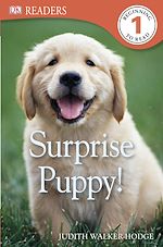 Download this eBook Surprise Puppy!