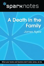 Download this eBook A Death in the Family (SparkNotes Literature Guide)