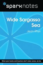 Download this eBook Wide Sargasso Sea (SparkNotes Literature Guide)