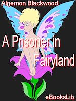 Télécharger le livre :  A Prisoner in Fairyland