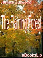 Télécharger le livre :  The Flaming Forest