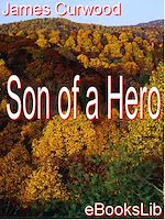 Télécharger le livre :  Son of a Hero