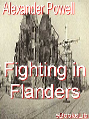 Download the eBook: Fighting in flanders