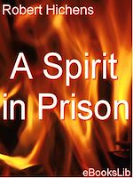 Download this eBook A Spirit in Prison
