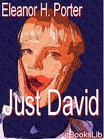 Télécharger le livre :  Just David