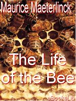 Download this eBook The Life of the Bee