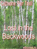 Download this eBook Lost in the Backwoods