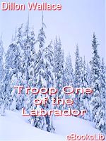 Download this eBook Troop One of the Labrador
