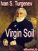 Télécharger le livre :  Virgin Soil