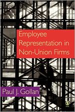 Download this eBook Employee Representation in Non-Union Firms