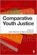 Télécharger le livre :  Comparative Youth Justice