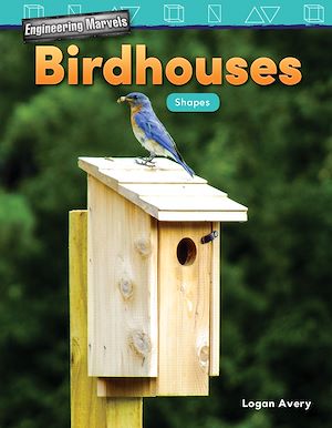 Téléchargez le livre :  Engineering Marvels: Birdhouses