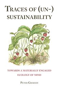 Téléchargez le livre :  Traces of (Un-) Sustainability