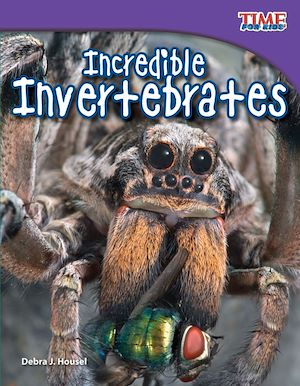 Téléchargez le livre :  Incredible Invertebrates
