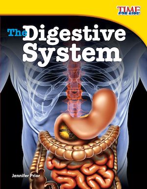 Téléchargez le livre :  The Digestive System